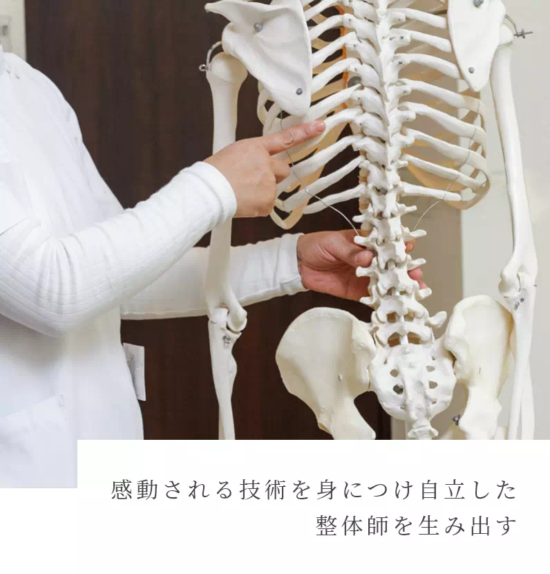 徒手療法をエビデンスで証明