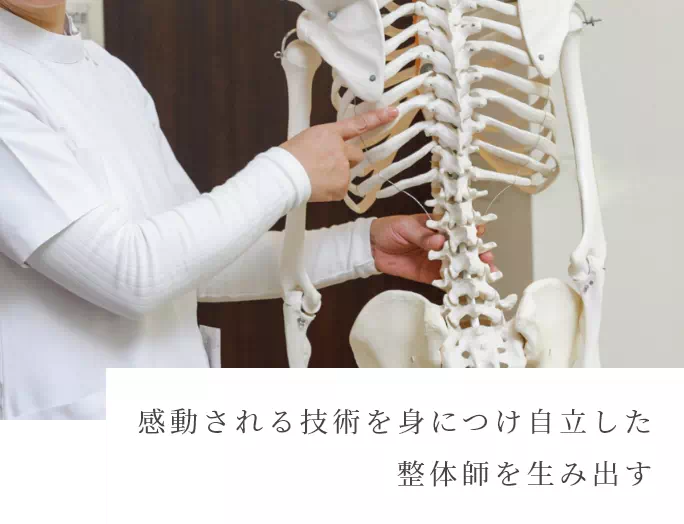 徒手療法をエビデンスで証明